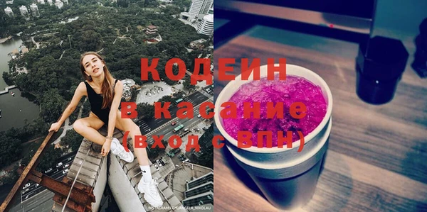 гашик Алексин