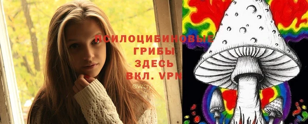 spice Алзамай