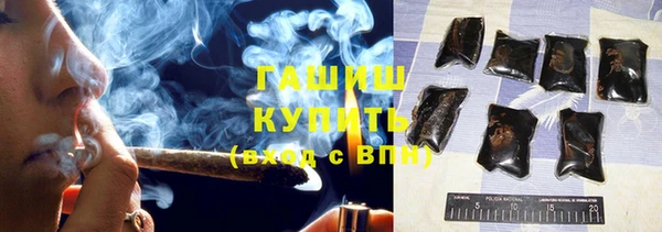 гашик Алексин
