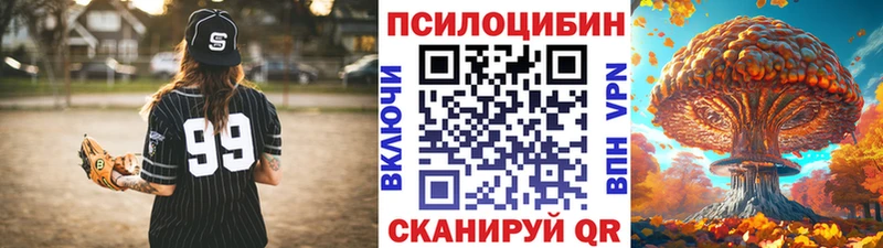 где продают Моздок Галлюциногенные грибы Psilocybe