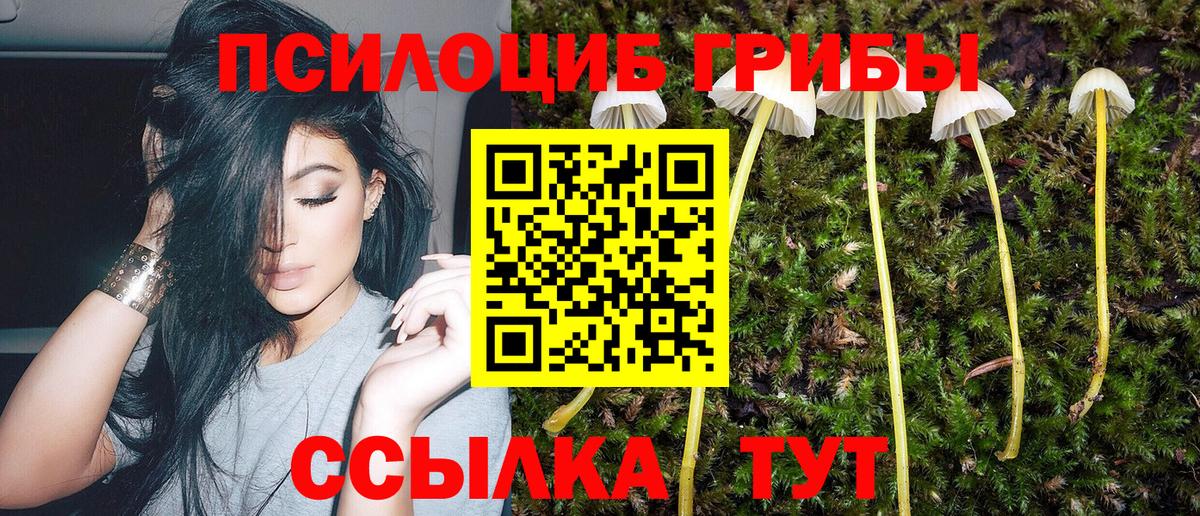 Псилоцибиновые грибы ЛСД  Вход с VPN  Моздок 