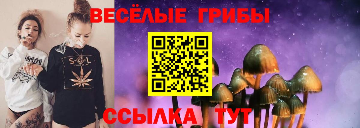 Псилоцибиновые грибы мицелий Моздок